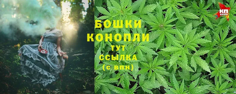 наркота  Сосновоборск  Бошки марихуана THC 21% 